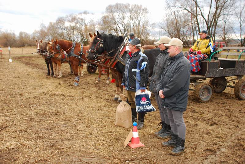 dekorování vozatjských vítězů