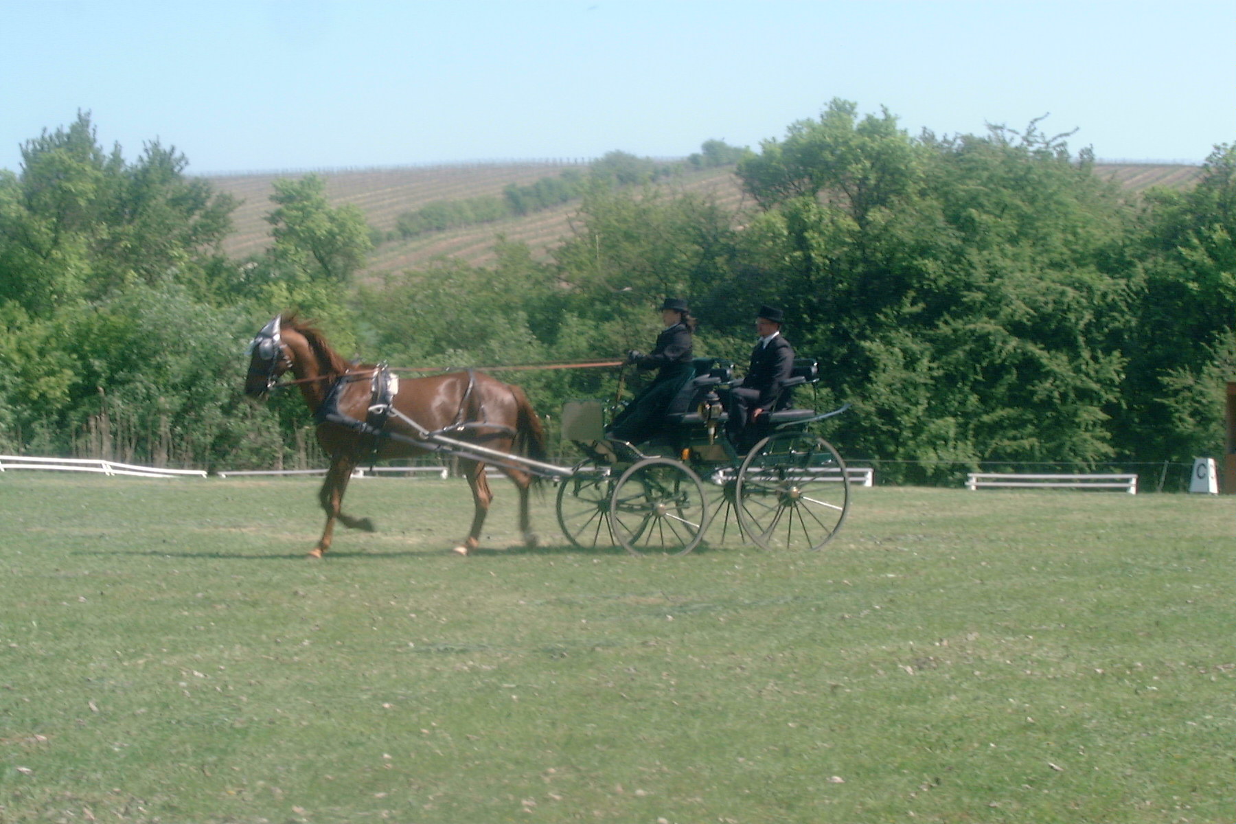 DSCF0060.JPG